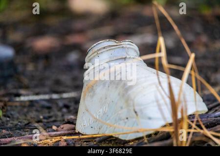 A cooling plastic bottle neck discarded on the ground at sunset with a dark background and dry law around it. Stock Photo