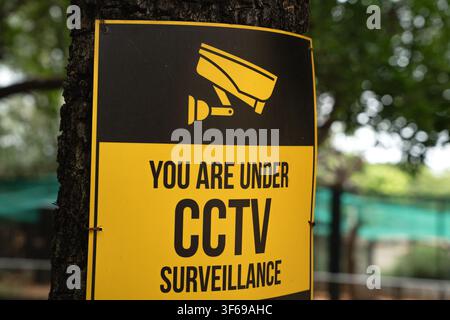 A yellow CCTV surveillance warning notice tied to a tree alerts visitors that video monitoring is active in a public park. Stock Photo