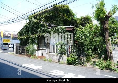 An old Japanese house almost completely covered in lush green ivy vines along a quiet street in Tokyo, Japan. Stock Photo