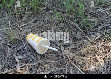A discarded fast food paper cup with a plastic lid and straw lying as litter on dry grass and leaf litter in a park Stock Photo