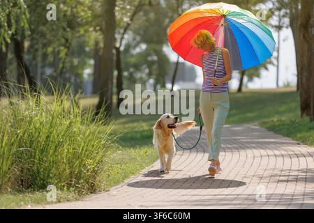 Woman walking Golden Retriever on leash through sunny city park holding colorful rainbow umbrella. Dog looking at owner, eye contact, happy companions Stock Photo