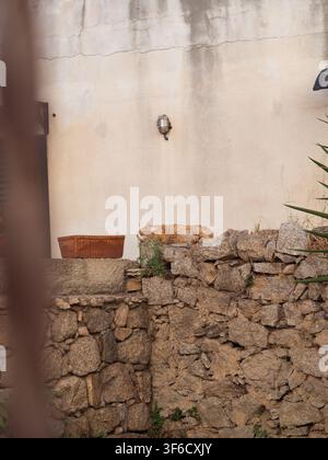 Ginger cat sleeping on an ancient granite stone wall in an old town Olbia courtyard, Sardinia, Italy Stock Photo