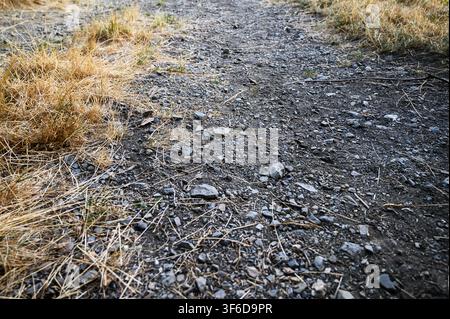 Rough gravel path with small stones, dry grass and natural ground texture. Stock Photo