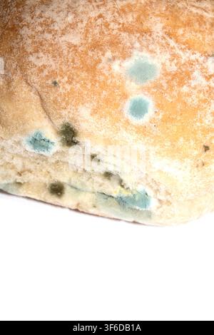 Moldy mould on home made bread roll funus food waste Stock Photo