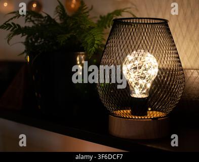 A modern decorative table lamp with a mesh shade and an LED string light stands on a shelf next to an indoor fern Stock Photo