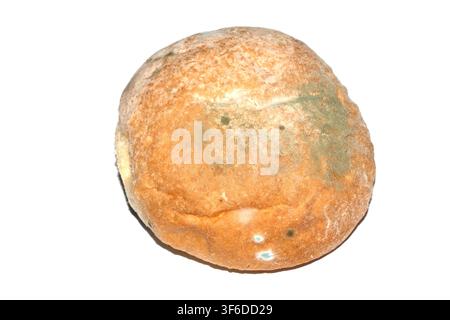 Moldy mould on home made bread roll funus food waste Stock Photo