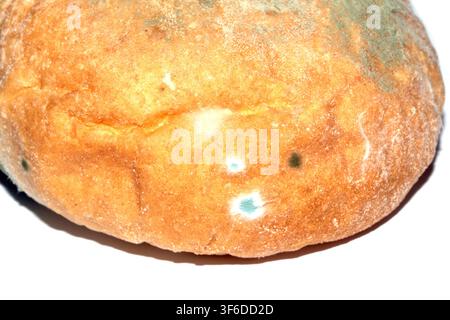 Moldy mould on home made bread roll funus food waste Stock Photo