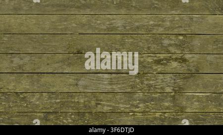 Close-up of horizontal weathered and mossy green wooden planks. Stock Photo