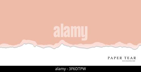 Beige sheet ripped paper background. Banner template for poster, flyer, sale, promotion. Torn or paper horizontal cardboard. Sheet of paper Stock Vector