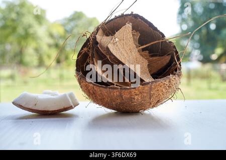 Coconut rests on a clean white surface. Brown husk splits open, revealing white meat inside. Greenery blurs softly in the background. Natural, fresh, Stock Photo