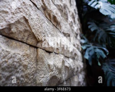 Low angle close-up of sandstone wall featuring textured stone block being lit by soft morning sunlight, with monstera plant blurred in the background. Stock Photo