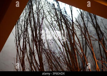 Decorative leafless tree branches rise through an interior lightwell, framed by warm angular architecture and soft natural light to create an organic Stock Photo