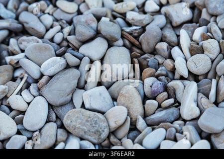 Close-up view of smooth gray and beige pebbles scattered across the ground, creating a detailed natural stone texture with varied shapes, muted colors Stock Photo