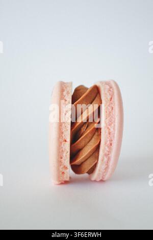 Single pink French macaron with chocolate ganache cream filling on plain white background, isolated close up sweet dessert Stock Photo