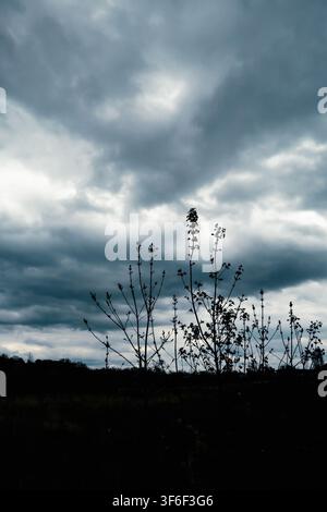 Dark storm clouds gather over a rural field and distant tree line, creating a dramatic, foreboding landscape before heavy rain Stock Photo