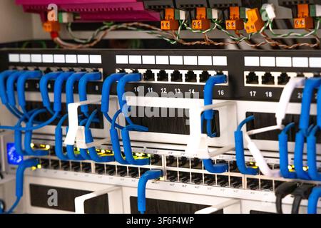 A close-up view of a server rack showing a populated patch panel with many blue network cables plugged into RJ45 ports Stock Photo