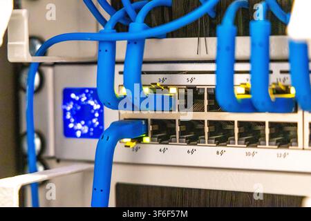 Detailed view of a network switch with multiple blue ethernet cables plugged into ports, showing activity lights and port numbers Stock Photo