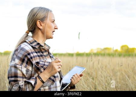 Woman in profile holds digital tablet while surveying golden wheat field assessing crop condition and yield. Concept of modern precision farming and d Stock Photo
