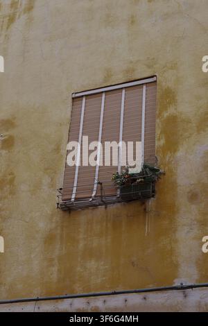 Weathered plaster wall with shuttered window and flower box on a historic building in Florence, Tuscany, Italy. Stock Photo