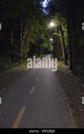 Illuminated cycle path running through a forest at night in Tata, Hungary... Stock Photo