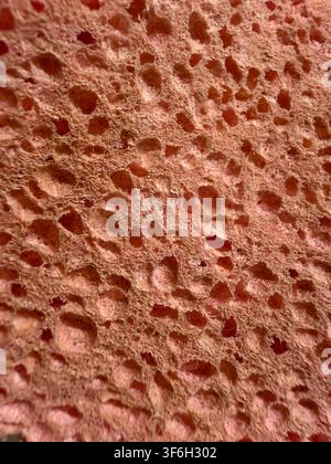 Extreme close-up of a red porous cleaning sponge creating an abstract texture and pattern Stock Photo