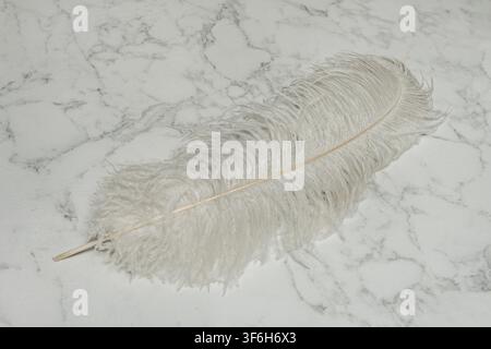 Large Fluffy White Ostrich Feather Resting Diagonally on Grey-Veined Marble Surface Stock Photo