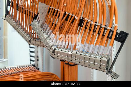 Close-up of a high-density Ethernet patch panel with organised orange network cables installed inside a communications cabinet. Stock Photo