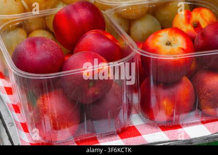 Red nectarines and yellow plums are arranged in transparent containers on a checkered tablecloth, showcasing fresh produce at a market setting Stock Photo