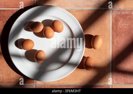 Fresh brown eggs are lying on a white plate. The plate is photographed from above. The eggs are in the kitchen on a tiled surface. Stock Photo
