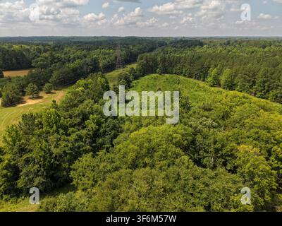 Power pylons support lines running through peaceful woodlands in McConnells, South Carolina Stock Photo