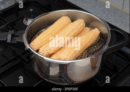 Freshly steamed white corn inside a pressure cooker on stove Stock Photo