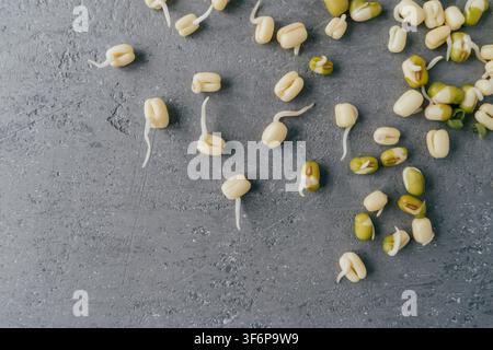 Sprouting Mung Beans with White Roots Scattered on Gray Concrete Surface for Healthy Food Concept Stock Photo