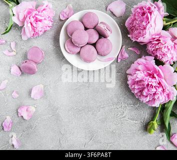 Pink peony with macarons on a concrete background Stock Photo