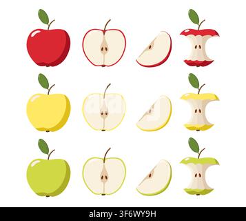 Rows of red, yellow, and green apples shown in four stages whole, halved, sliced, and eaten core Stock Vector