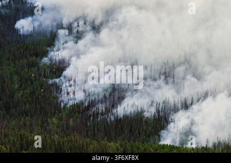 Thick smoke billows from wildfire burning through a forest Stock Photo