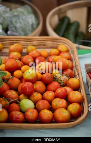 Freshly picked tomatoes in a basket at the market Stock Photo