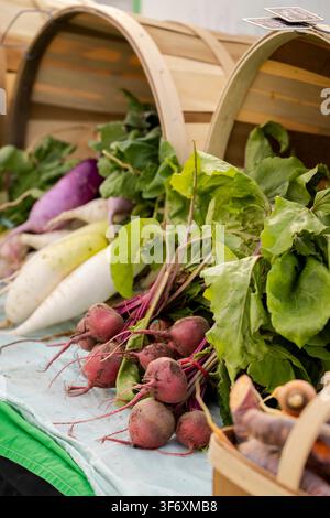 Fresh beets and radishes on display at market stall Stock Photo