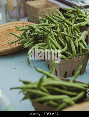 Fresh green beans in cartons at a market stall Stock Photo