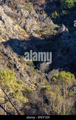 A rugged rocky ravine features steep stone cliffs dotted with sparse green vegetation and trees in central Portugal. Stock Photo
