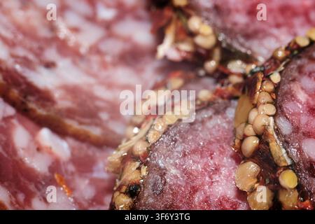 Extreme close-up view of sliced cured meat sausage featuring whole yellow mustard seeds and spices on the casing, showcasing texture and detail of the Stock Photo