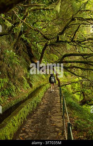 Calheta, Portugal - 07.12.2025: Lone trekker walking along a traditional irrigation channel path through a misty green laurel forest Stock Photo
