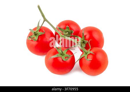 Fresh Red Cherry Tomatoes on the Vine Isolated on White Background Stock Photo