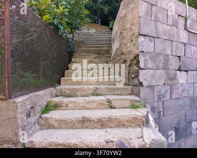 Old stone steps rise upward through greenery. Rusty fence lines left side of path. Rough brick wall borders right side Stock Photo