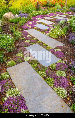 Stone pathway winding through a vibrant garden with purple and white flowering ground cover Stock Photo