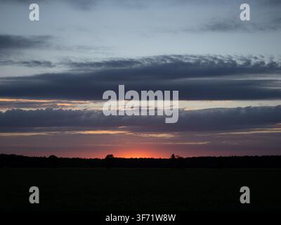 Sunset with colorful sky and dark forest silhouette on the horizon over a green field. Stock Photo