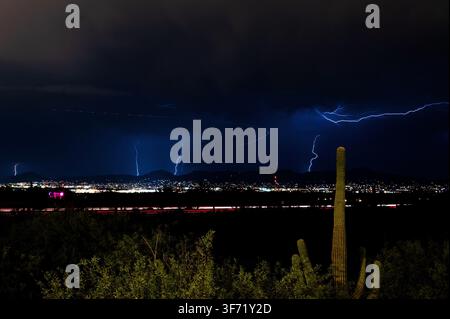 Several branching lightning bolts illuminate the night sky simultaneously above a desert city skyline, with saguaro cacti silhouetted below. Stock Photo