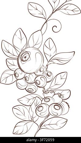 Blueberry vertical botanical vector frame with elegant berry branches, black ink line illustration for bottle labels, cosmetic packaging, branding and Stock Vector
