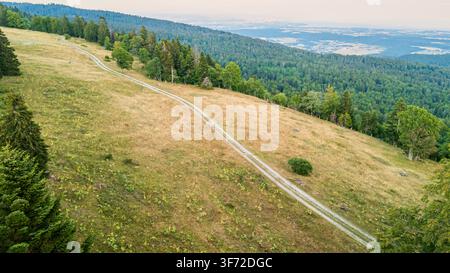 Aerial view of a dirt path winding through rolling grassy hills and dense pine forests in Jura, Switzerland. Stock Photo