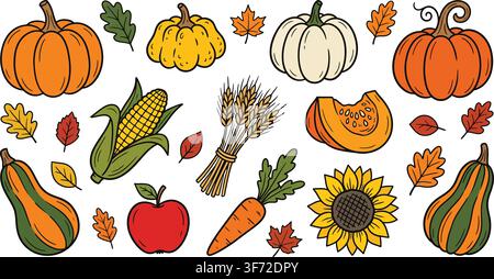 Colorful vector autumn harvest icons set, pumpkins, vegetables, corn, sunflower, and fall leaves isolated on white background. Stock Vector
