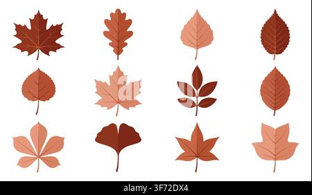 Flat vector autumn leaves set, maple, oak, and fallen foliage icons isolated on white background. Stock Vector